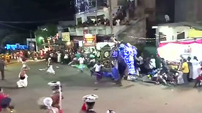 Užfiksuota dramatiška akimirka, kai įsisiautėję drambliai įbėgo į žmonių minią