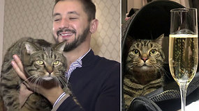 Kurioziška istorija tapo sensacija: „Aeroflot“ nubaudė „storo katino kontrabandininką“, kuris bijojo dėl augintinio gyvybės