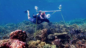 Išgirskite patys: mokslininkai sugalvojo būdą, kaip apgauti žuvis ir atgaivinti mirštančius koralų rifus