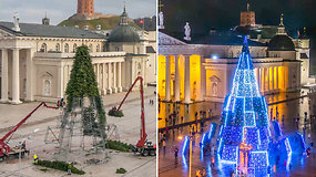 Pasigrožėkite: beveik dvi savaites nepertraukiamai fotografuota Vilniaus Kalėdų eglė