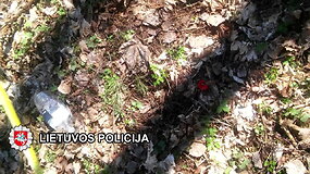 Klaipėdos pareigūnai sulaikė du asmenis pasikėsinusius visuotinai pavojingu būdu sunaikinti turtą