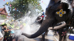 Tailande miestelio gyventojai stojo į vandens mūšį prieš dramblius