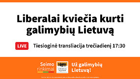 Liberalai kviečia kurti galimybių Lietuvą