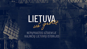 15/15: Projektas „Lietuva už grotų“: užsienyje nusikaltę prašosi Lietuvon. Ar verti?