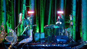 Muzika „Kamanių šilelis“: užburiantis šviesos ir garso šou miške