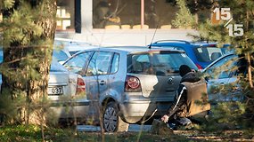 15/15: valdžia griežtina šešėlinę automobilių prekybą, bet spragų lieka?