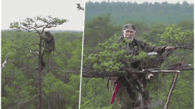 Mokslininkas pats lipa į medžius ir suka juose lizdus – nutarė pagelbėti paukščiams