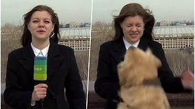 Kuriozas tiesioginiame eteryje – pro šalį bėgęs šuo pasigriebė reporterės mikrofoną