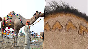 Kieno kupranugaris madingesnis? Pakistano kirpėjas paverčia juos tikrais meno kūriniais