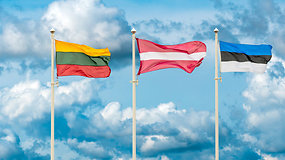 Lietuvos, Latvijos ir Estijos prezidentų spaudos konferencija