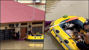 Malaizijoje – stichinė nelaimė: potvynio aukomis tapo ir likimo valiai palikti gyvūnai
