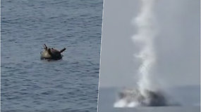 Juodojoje jūroje aptikta dreifuojanti mina – Rumunijos narų komanda ją nukenksmino vandenyje