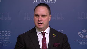 A.Vyšniausko komentarai po rytinio Seimo posėdžio