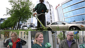 Vilnius atsisako šienavimo nebūtinose vietose – sprendimą pakomentavo gyventojai