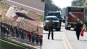 Floridoje pastebėjus kūną aligatoriaus nasruose, 41 metų moteris rasta negyva