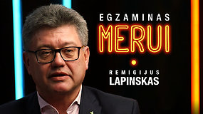 Egzaminas merui: R.Lapinskas nesuprato, kaip Vilnius galėjo taip ilgai kūrentis mazutu, ir miglotai prisiminė apie galimus žolės bandymus