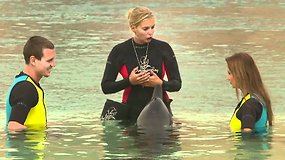 Tomašas Berdychas Dubajuje plaukiojo kartu su delfinais