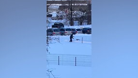 Nufilmuotas žiaurus elgesys su gyvūnu Jurbarko mieste