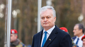 Lietuvos ir Vokietijos prezidentai aptarė paramą Ukrainai, NATO rytinio flango stiprinimą – komentarai
