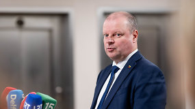 S.Skvernelis: demokratai ir socdemai turi idealų sutapimą programiniais klausimais