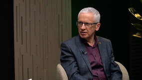 Karo ekspertas įvertino taikos siūlymus Ukrainai ir situaciją fronte