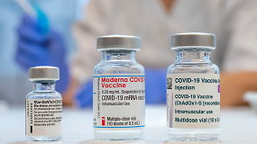 Aktualiausia informacija apie nepageidaujamas reakcijas į vakcinas nuo COVID-19