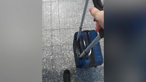 S.&Scaron;traupaitės video darbas &bdquo;ES laisvė&ldquo;