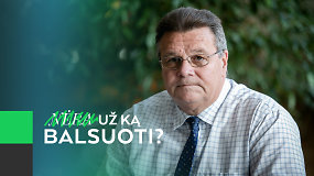 L.Linkevičius: „Partija opozicijoje gal ir įdomi retorine prasme, bet šiaip tai ji nieko negali“