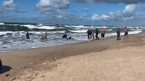 Nors prie kranto – raudona vėliava, stovyklos organizatoriai vedė vaikus maudytis į audringą jūrą