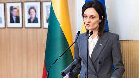V.Čmilytė-Nielsen apie parlamentines lėšas: gali būti diskusija dėl konstitucijos keitimo