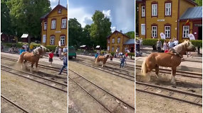 Ne vienam žiūrovui rungtis Anykščių šventės metu priminė gyvūnų kankinimą