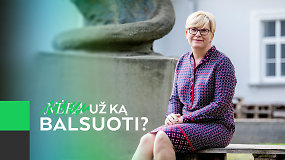 I.Šimonytė: „Nereikia nustoti ginčytis“