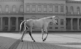 Lietuvos kino fondas &ndash; galimybe nemokamai pamatyti daugiau nei 100 lietuvi&scaron;kų filmų