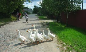 Dviračiais per Karaliaučių, Kur&scaron;ių marių keliukais
