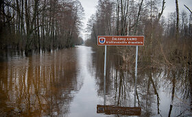 Potvynis Žalgirių kaime