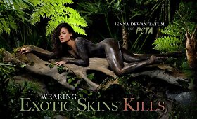 25 žvaigždės, kurios nuogos fotografavosi PETA reklamose