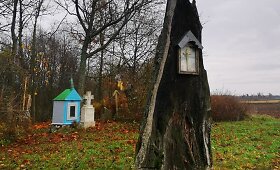 Mažeikių r. Tučių apylinkėse gyvenančios Gitanos užfiksuoti vaizdai