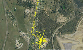 Naktį į lauką i&scaron;leidžiamų kačių mar&scaron;rutai užfiksuoti GPS sekikliu
