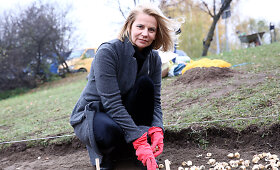 Tulpes sodinusios žinomos moterys ragino tikrintis dėl krūties vėžio