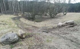 Suniokotas keliukas ir pieva Verkių regioniniame parke