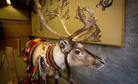 Samių muziejus Norvegijoje