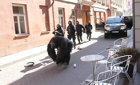 Vilniaus gatvėse sąmy&scaron;į sukėlė gorila
