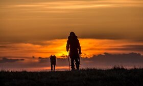 Filmas &bdquo;Alfa&ldquo; apie žmogaus ir &scaron;uns draugystės pradžią