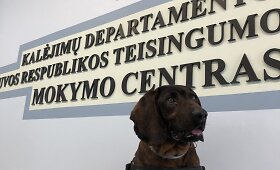 &Scaron;ių metų draudžiamų daiktų ypatumai pataisos namuose