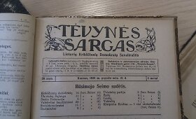 Rinkiminės politinės reklamos margumynai tarpukario Lietuvos spaudoje