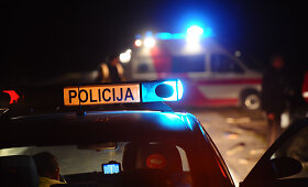 &bdquo;Audi A4&ldquo; susidūrė su arkliu traukiamu vežimu
