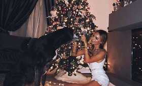 Evelinos Young namai jau kvepia Kalėdomis