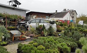 Pavilnyje automobilis įlėkė į gėlių kioską