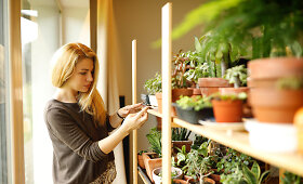 Kokedama &ndash; bevazonis sodinimo menas