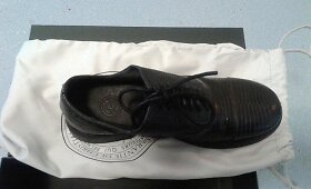 Kauno oro uosto poste sulaikyta driežo odos avalynė